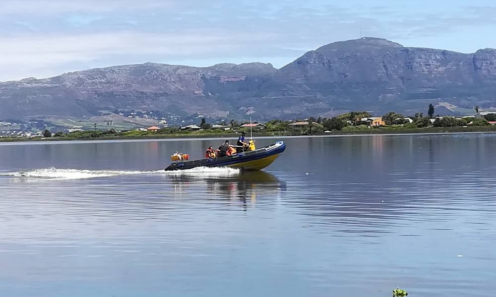 Scenic cruising and sightseeing along the Cape Peninsula on a boat trip
